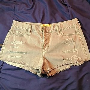 Hollister Short Shorts